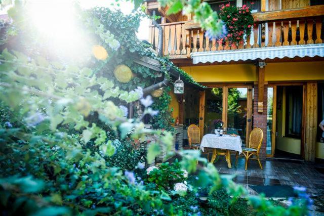 Siesta Vendeghaz Villa Eger Exteriör bild